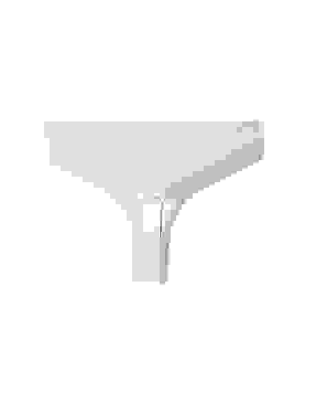 Se Alloro 140 Ext./Palma Nardi