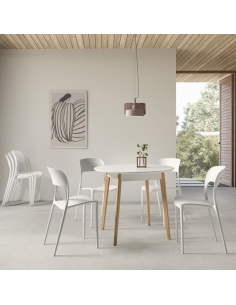 Silla Roma polipropileno